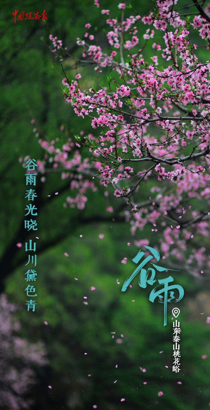 谷雨丨一"谷"作气,迎接更多美好