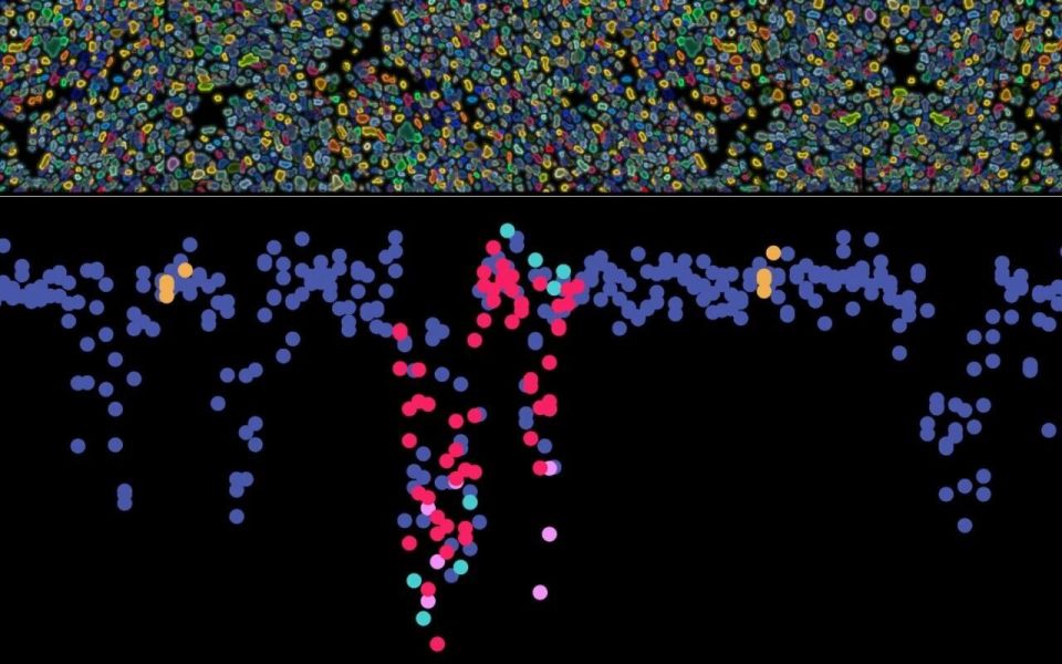 RNU4-2基因突变功能评分图