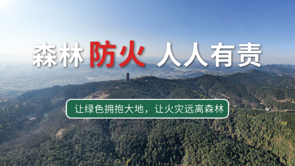 科普森林防火报警电话12119