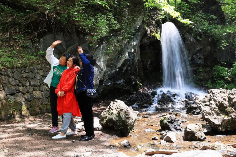 绿意盎然吊水壶