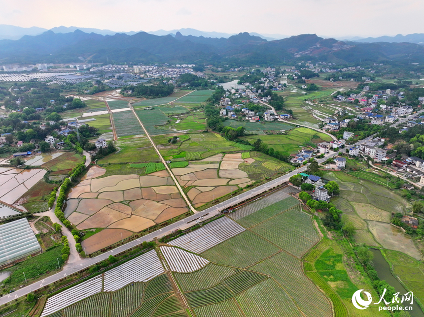 朱海鹏摄人民网会昌4月3日电(朱海鹏)3月31日,江西省赣州市会昌县周田