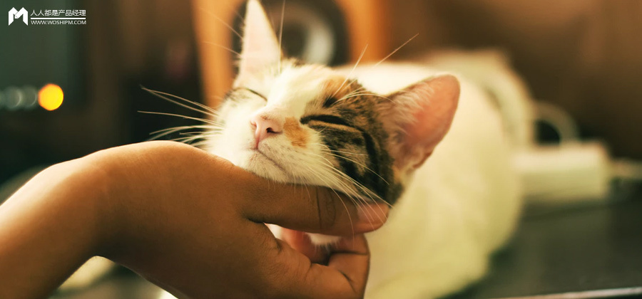 较为新鲜好玩的表情包,一般都在小辈处拿到.