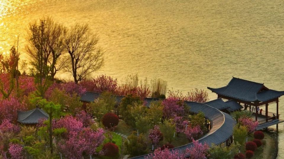 接下来的商丘市日月湖景区是更多的春和景明_腾讯新闻