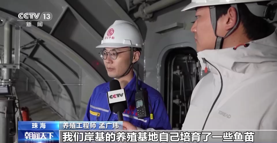 央媒看青岛｜央视关注“国信1号”：全球首艘养鱼船有哪些“超能力”？_腾讯新闻