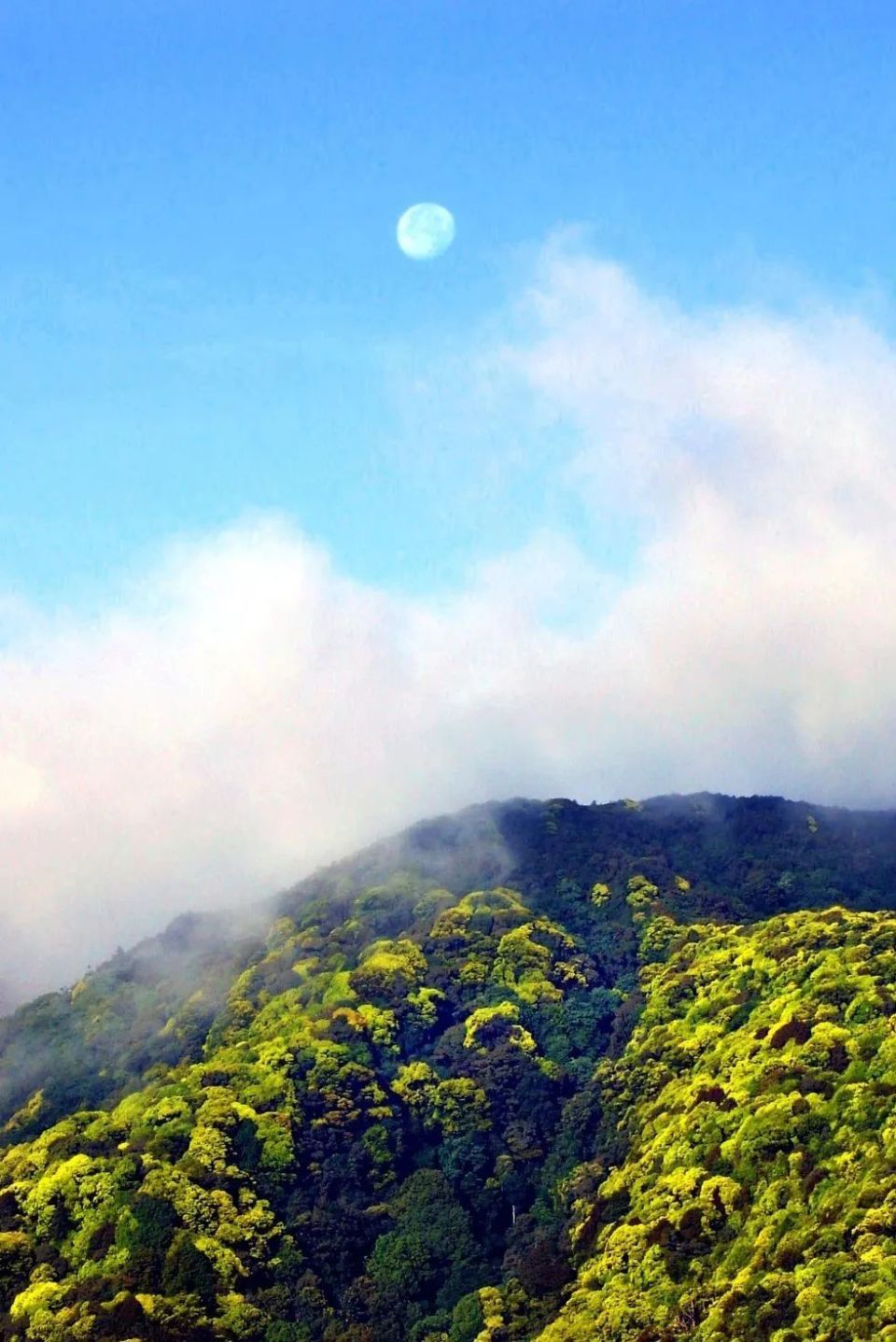 在大理永平的崇山峻岭中,藏匿着一条举世闻名的南方丝绸之路——博南