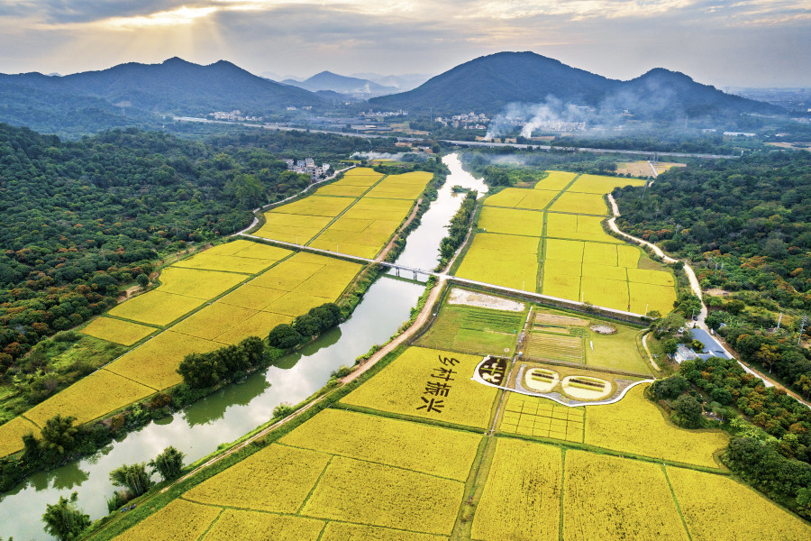 一条是闻稻香庆丰收线:麦田生态园——艾米农业园——罗洞工匠小镇