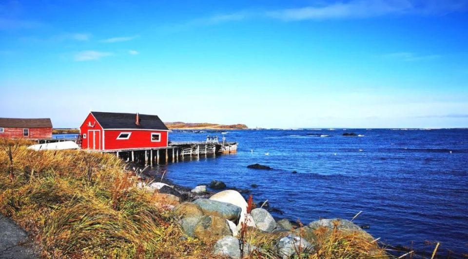 纽芬兰岛,世界尽头的宁静一隅