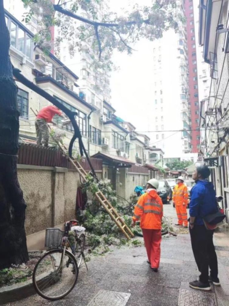 未雨绸缪,防患未然!防汛隐患排查不停歇_腾讯新闻
