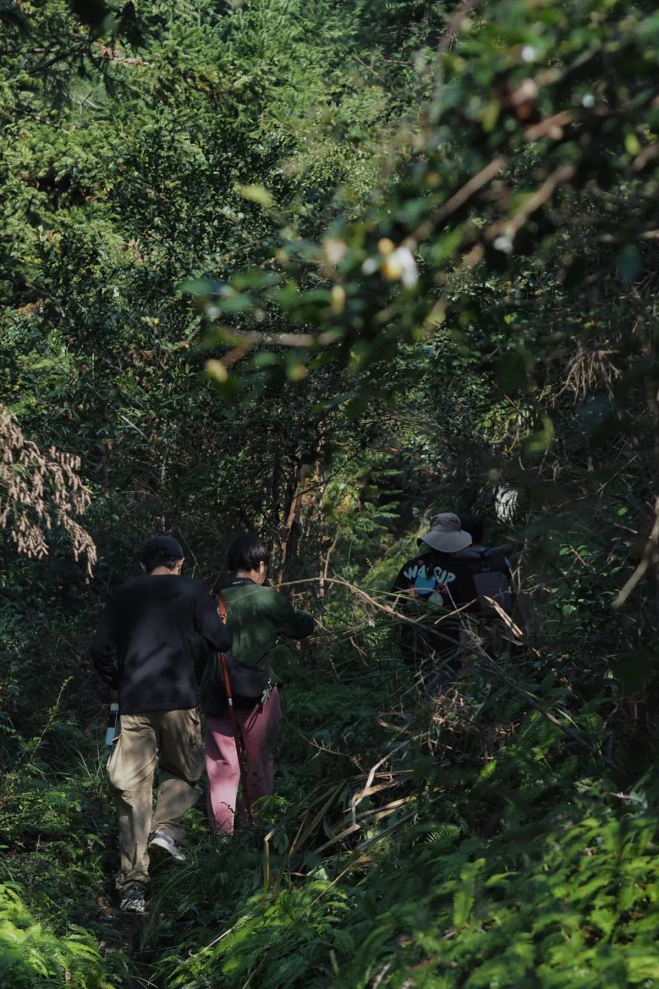 双乾支付_乾多多支付_乾多多e支付官网