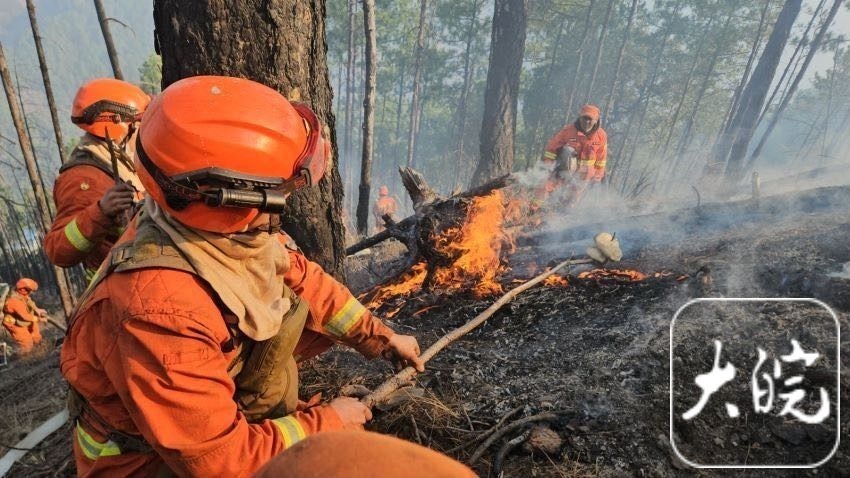 四川雅江县山火坡陡林密风大天干森林消防员以水灭火沿火线向山上扑打