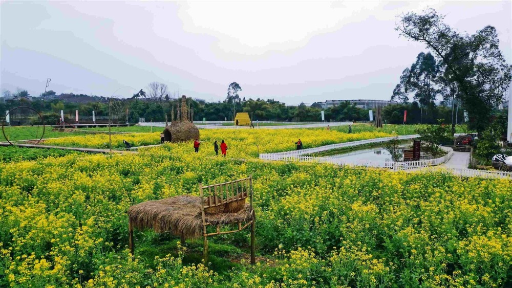 重庆市璧山区七塘镇:艺术乡建助力乡村振兴_腾讯新闻