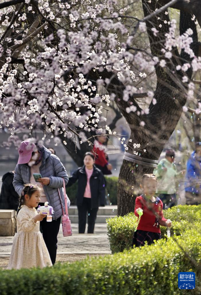 北京:踏青赏花度周末