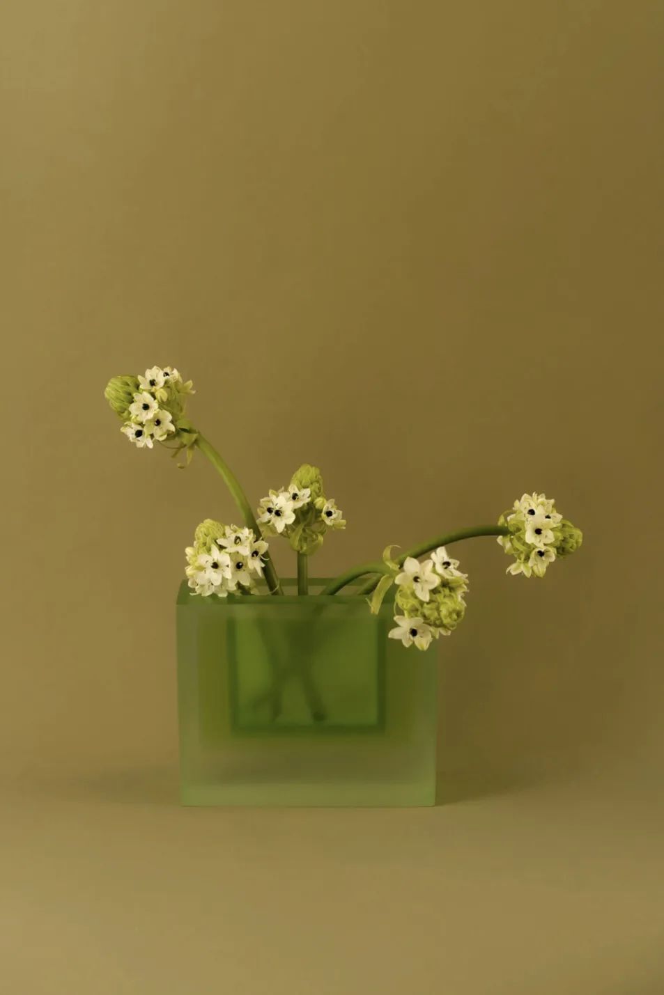 美拉德之后,"薄荷曼波"又火了