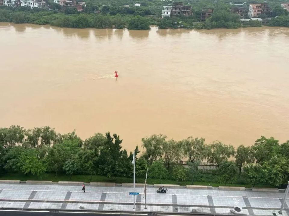 暴雨后,东江变"黄河"!洪峰水位今日"杀到",注意安全!