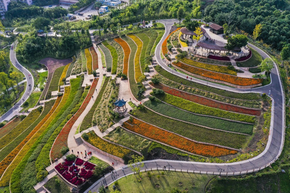 重庆璧山公园之城让市民乐享高品质生活