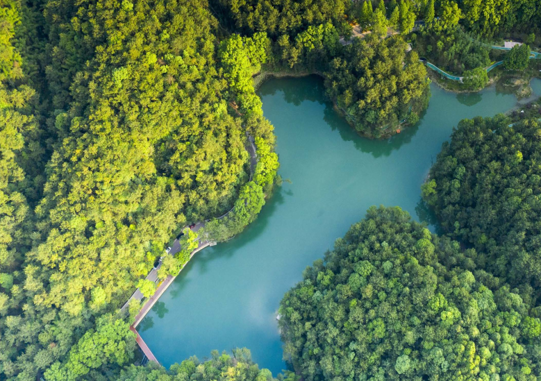 重庆2023年最美农村路出炉来看看你走过哪些路