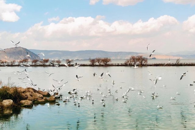 昆明湿地面积达2563.01公顷