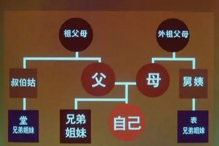 堂兄妹或表兄妹有血缘关系吗，为何禁止结婚？_腾讯新闻
