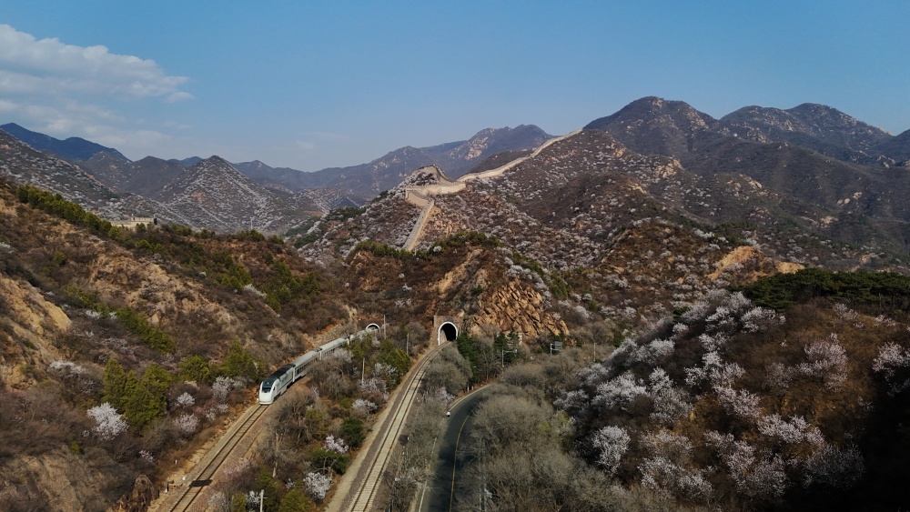 北京:s2线列车穿越烂漫花海