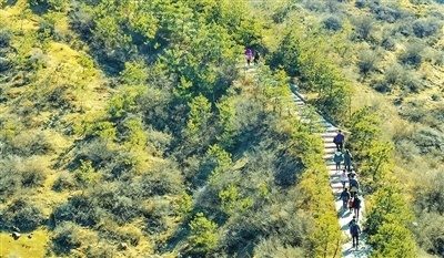 王家山森林运动公园 李学军 摄万亩生态园 王韵菲 摄