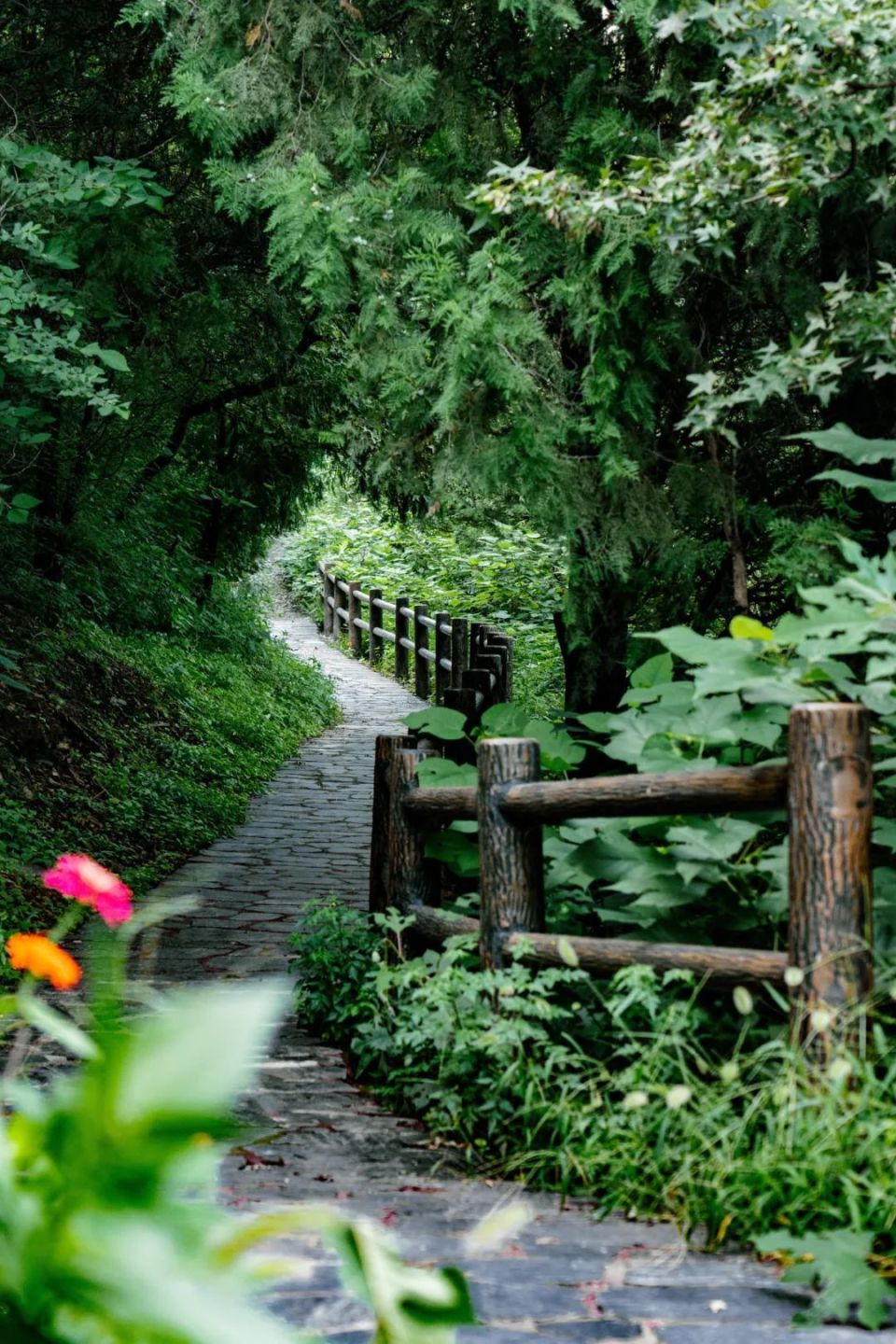 山中溪谷还有潺潺流水小石是从法海寺正门的东边进山的赶紧冲冲冲法