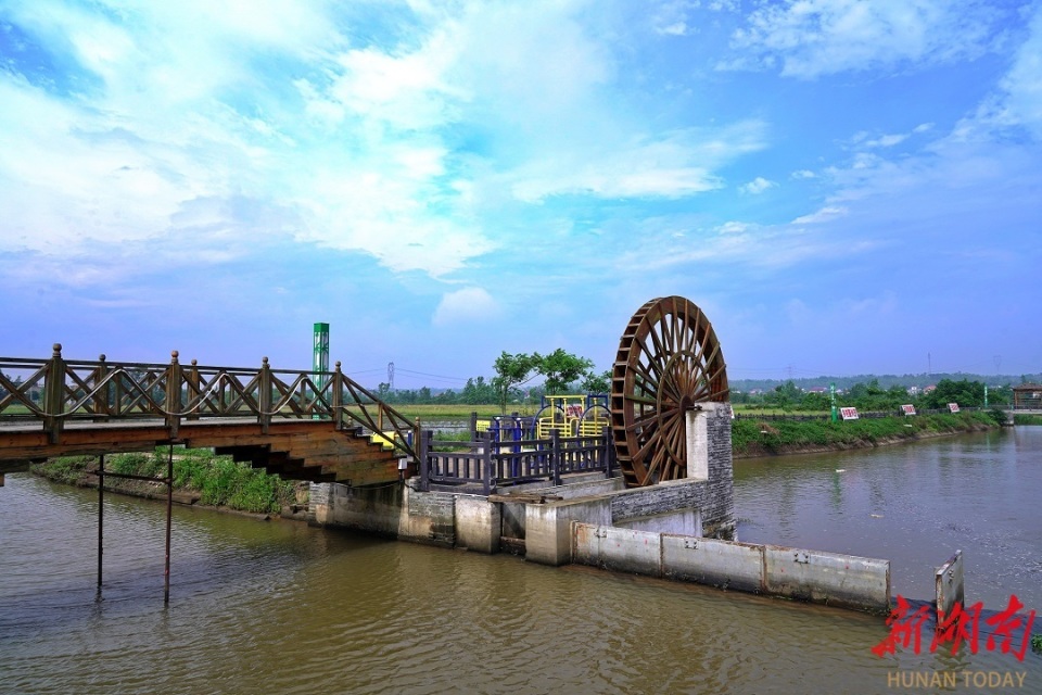 衡龙桥镇:蔬果飘香产业旺 村靓景美文旅兴