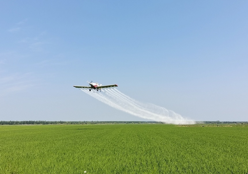 "夏管"进行时 黑龙江北大荒开启高标准田间管理模式