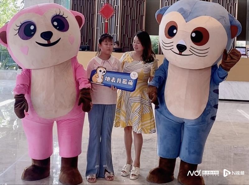 佛山首家狐獴主题酒店正式亮相快来投喂可爱小狐獴吧