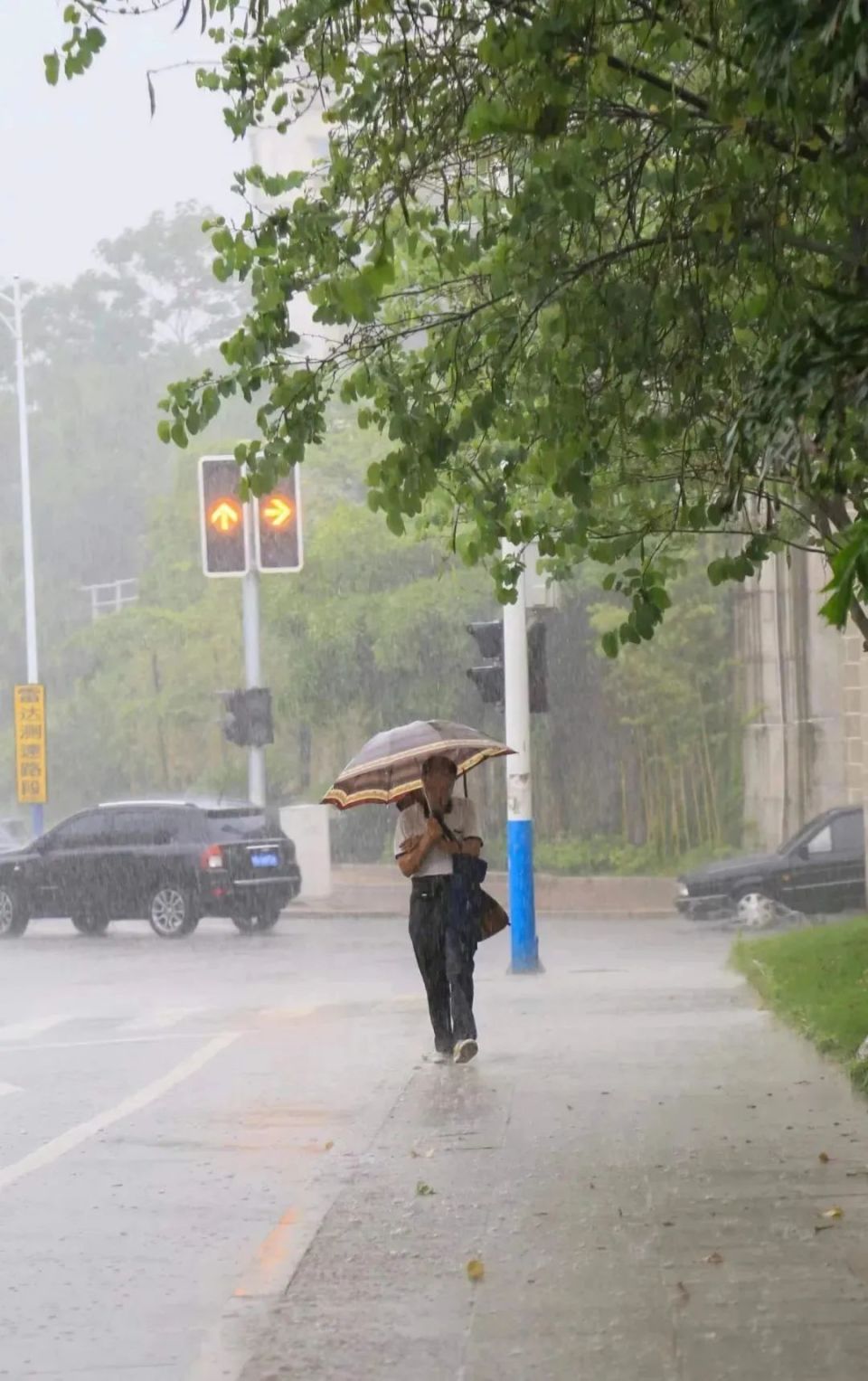 雷暴大风,大雨将集中在广西这些地方