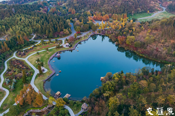 南京:深秋银杏湖景如画
