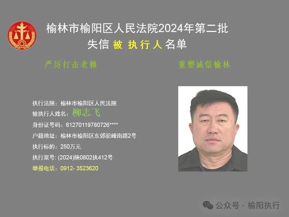 榆阳区人民法院2024年第二批失信被执行人名单