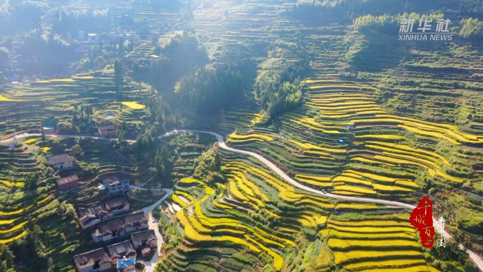 千城百县看中国福建寿宁秋日好丰景