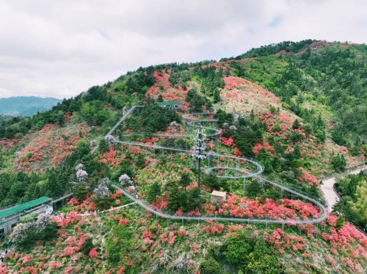 摄影:可一化门票:免费地址:浙江省金华市磐安县浙中杜鹃谷,导航"浙中