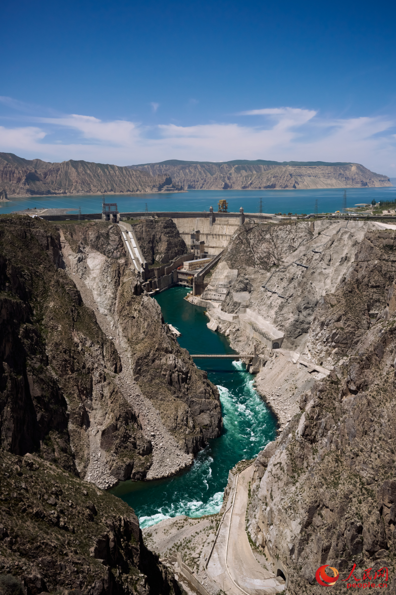 "行进中国"调研行·活力青海丨"鱼"跃龙羊峡