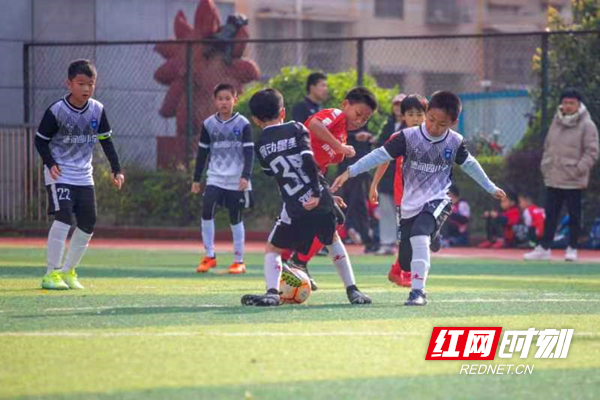 u15及女子u12等6个组别,经过8天的激烈争夺,长沙市岳麓区南雅湘江中学