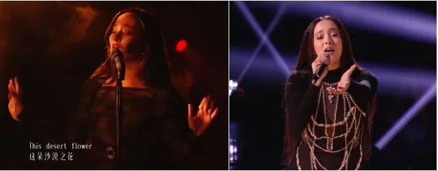 凡希亚上《歌手》,竟是为了赚钱旅游?