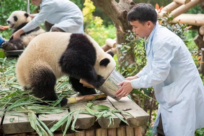 【视频】人物:他们,见证"诗和远方"的回归|"5·19