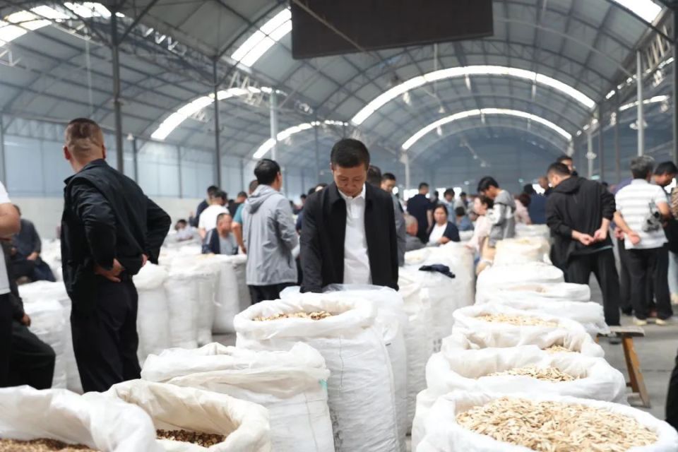 李艳是一位来自安徽亳州的客商,常年在首阳中药材交易市场收购药材给