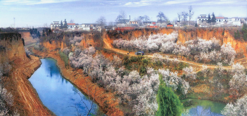 被誉为郑州后花园的二七区樱桃沟,有着1000多年樱桃种植历史,种植