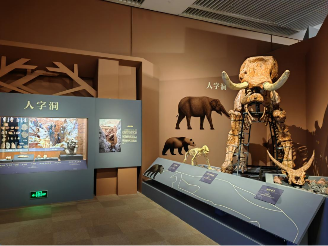 安徽繁昌人字洞遗址首次亮相国博(文末福利)_腾讯新闻