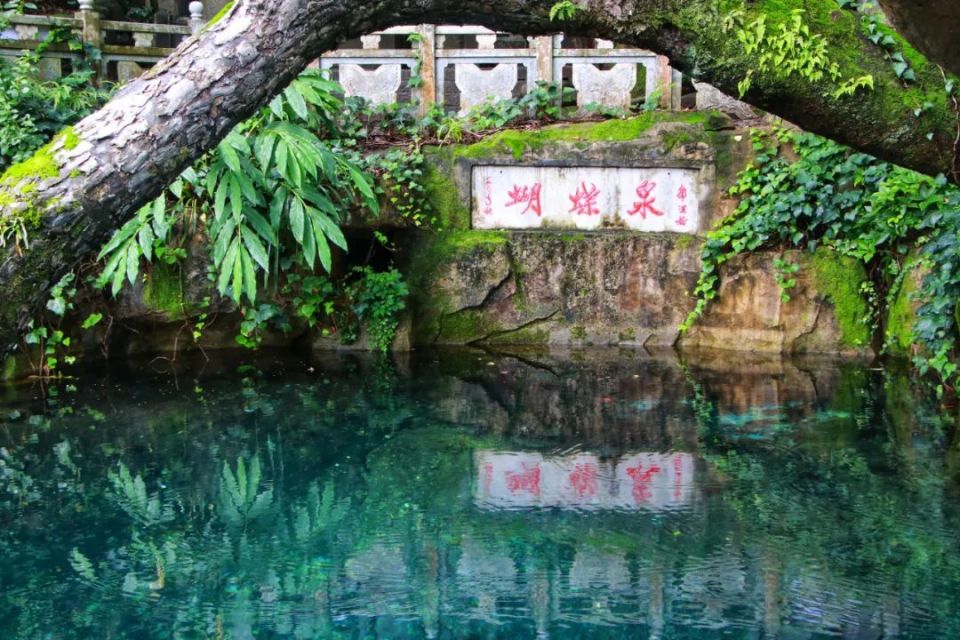 当中秋遇见国庆,当诗歌遇见大理——《蝴蝶泉边》