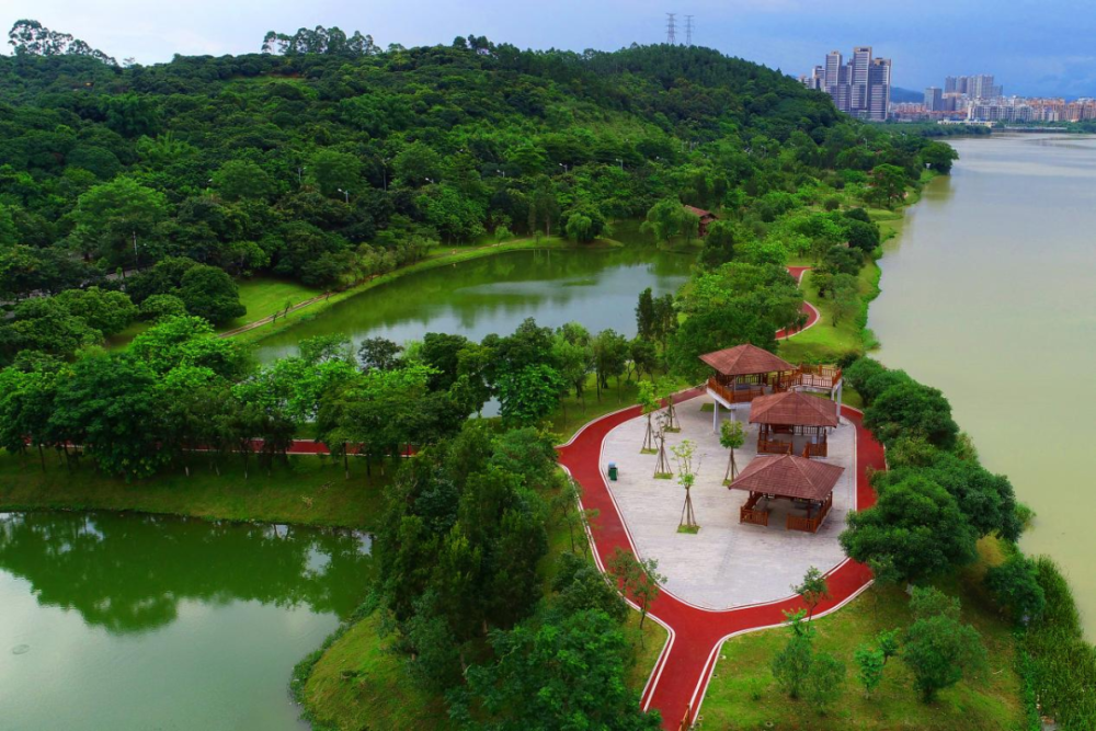 增城top级打卡点华丽焕新!_腾讯新闻