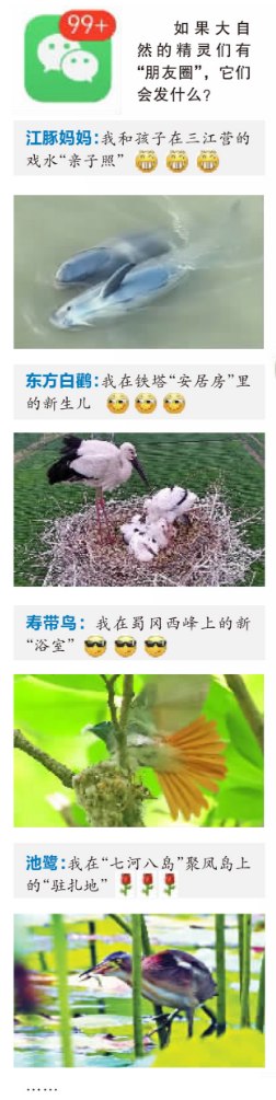 视点丨刷刷扬州生物"朋友圈"