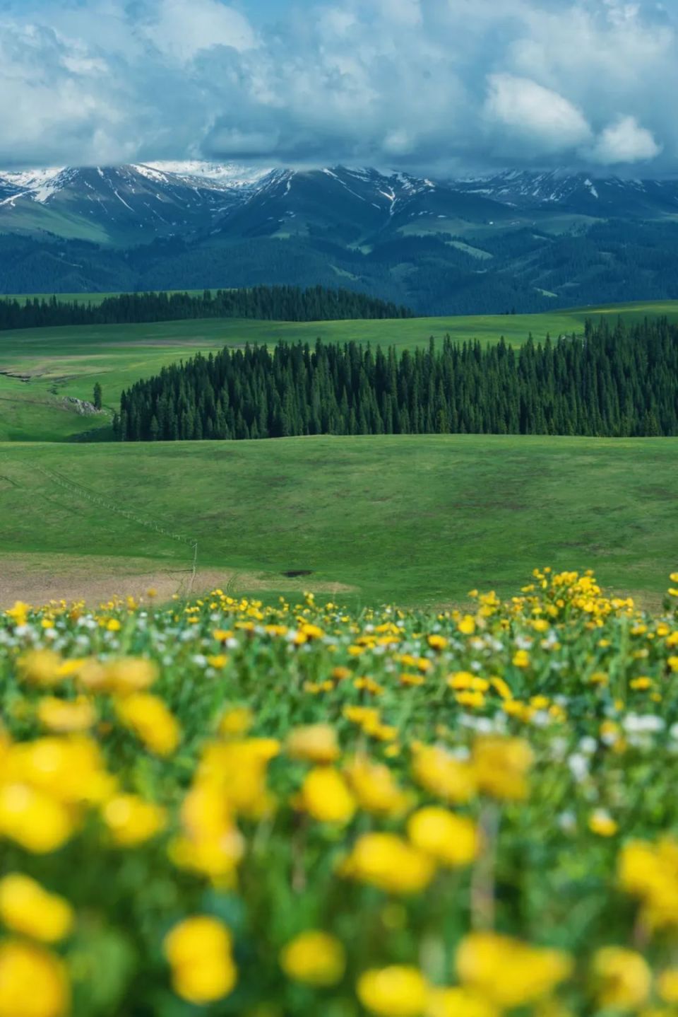 新疆这3个地方,被严重低估了