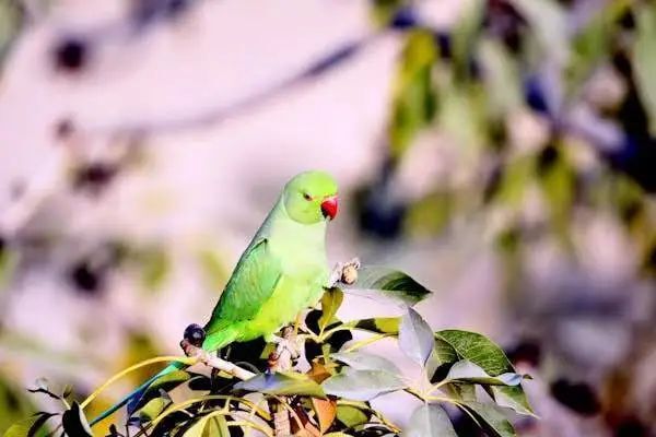 这2个星座说:"人不是机械地活一辈子,而是活那些充满希望的瞬间.