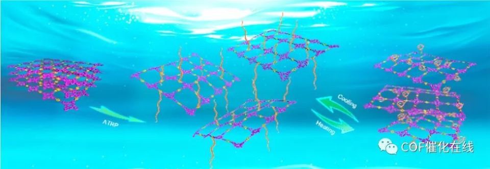 cof納米水凝膠登頂jacs