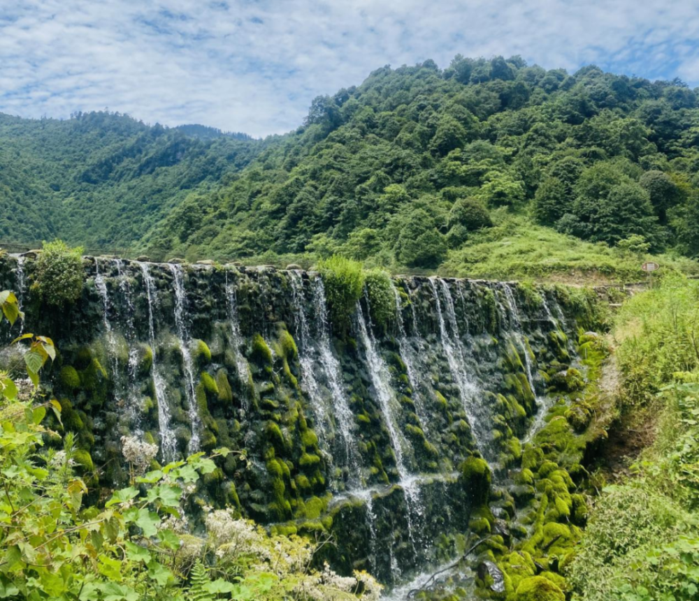 景区黑竹沟国家森林公园乐山市峨边彝族自治县黑竹沟镇01夏日清爽去