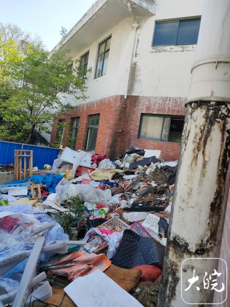 霉烂污染易燃合肥一别墅小区被曝垃圾成山