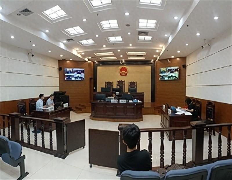 "法"护诚信者 "典"亮买房路 重庆法院妥处房屋买卖纠纷案,倡导依法