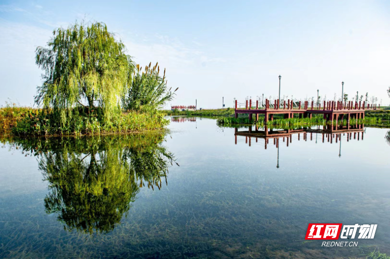 常德:洞庭清波入画来_腾讯新闻